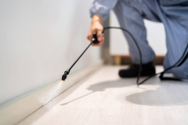 Licensed Cockroach Control service in Allendale, MI - Nex Pest Control