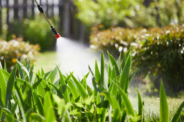 24/7 Emergency Cockroach Control experts in Allendale, MI