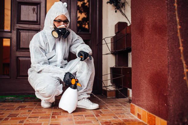 Reliable Cockroach Control contractor in Allendale, MI by Nex Pest Control